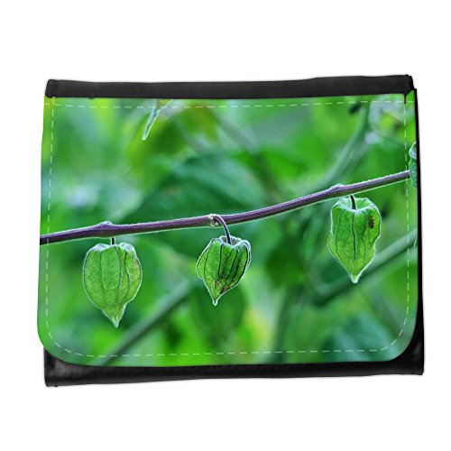 Preisvergleich Produktbild Portemonnaie Geldbörse Brieftasche / / M00237038 Physalis Fruit Stachelbeere / / Small Size Wallet