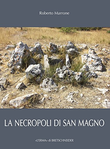 Preisvergleich Produktbild ITA-NECROPOLI DI SAN MAGNO (Studia Archaeologica, Band 212)