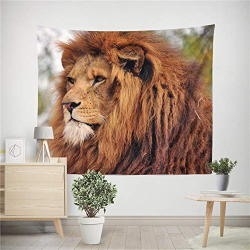 ᐅPicknickdecke 100x200 Test & Testsieger | Sparen ...