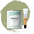 PECTRO Chalk Paint for Furniture 750ml + special Wood Brush Pack - Furniture Paint without sanding - Wood Piant - Effect Chalk Colors (DRY GREEN)