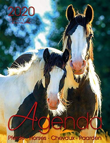 Agenda Pferd 2020: Pferde
