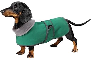Geyecete -Invernale Cappotto per cane bassotti, con fodera in pile caldo, abbigliamento da esterni in pile polare per cani, con Foro per Imbracatura,Giacca per cani piccola y media-verde-S