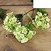 Produktbild Einfache heimische Wohnzimmer Schlafzimmer Dekor Seide Blume/ Kunstblumen/ Schneeball Desktop-Simulation Blume-dunkelgrün