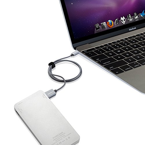 VicTsing 1m USB 3.1 Typ C Type C auf USB 2.0 Männlich to Männlich Nylon Braided Kabel Adapter mit Reversiblen Connector für Macbook 12inch 2015, ChromeBook Pixel, Nokia N1, Nexus 5x Nexus 6P usw. – Space Grau - 7