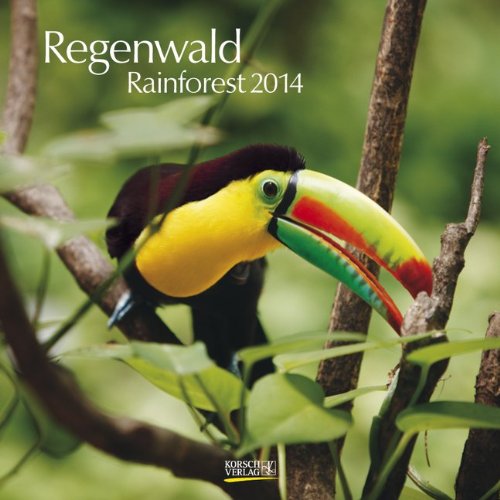 Regenwald 2014 Broschürenkalender