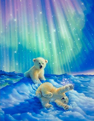 Set Diamond Painting Strass Mosaik Bild Basteln Bastelset Steine Eisbären 25x30