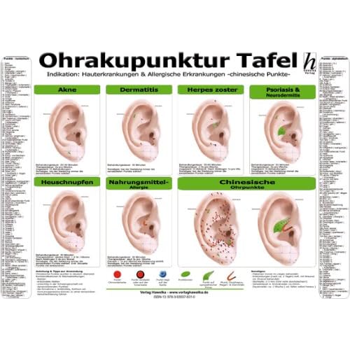 Pdf Ohrakupunktur Tafel Indikation Hauterkrankungen Allergische Erkrankungen Kostenlos Download Lasst Uns Das Buch Hier Lesen 33