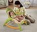 Fisher-Price Newborn-To-Toddler Portable Rocker, Lizards