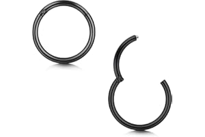 Briana Williams 2pcs Hinged Nose Ring Segment Lip Helix Septum Tragus Helix Rook Earrings Piercing Clicker 20G 18G 16G for women men boys girls