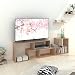 Produktbild DEVAISE Multifunctional Hölzernen TV-Lowboard/Bücherregal/TV Schrank; 15mm Dicke, Eiche