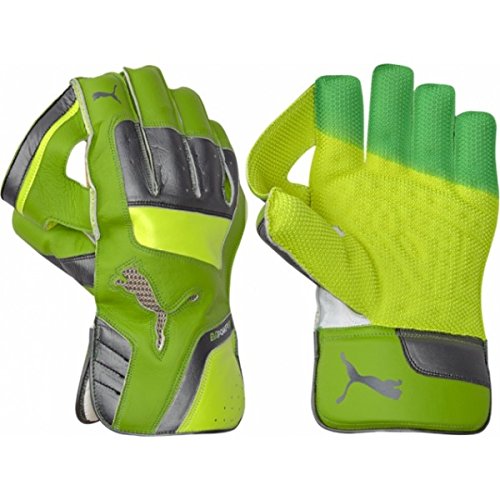 puma evopower wicket keeping gloves