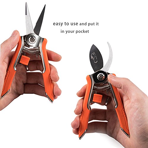 Lopunny Hand Gartenschere 2 Stück Garden Tools Set Mini Beschneiden Bypass neigen und Micro-Tip trimmen Schere - 5