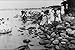 Produktbild 556020 Grand Beach Lake Winnipeg C1914 Photo LB Foote C 88036 A4 Photo Poster Print 10x8