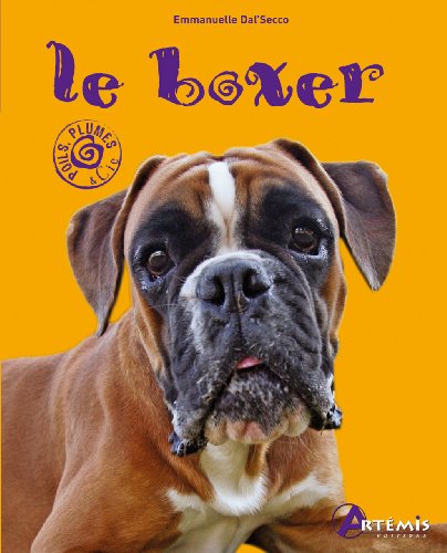 Download LE BOXER Download LE BOXER