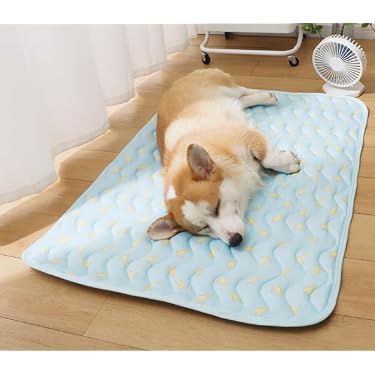 orthopädisches hundebett memory foam Hundebett Orthopädisch – Für große Hunde – Kaiser Hund main image 0