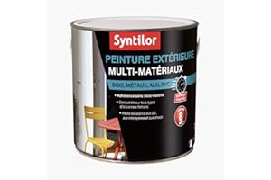 Syntilor - Peinture Extérieure Multi-Matériaux Châtaignier Satiné RAL 8003 2L
