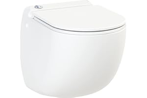 Aquacompact Wall - WC Suspendu avec Broyeur Intégré, Céramique Anticalc, Abattant Antibact Détachable Frein de Chute, Double Chasse Éco, Relevage puissant, 500W, Fabrication Française, Garantie 2 Ans