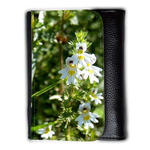 Preisvergleich Produktbild Portemonnaie Geldbörse Brieftasche / / M00292129 Eyebright Euphrasia officinalis Blume / / Medium Size Wallet