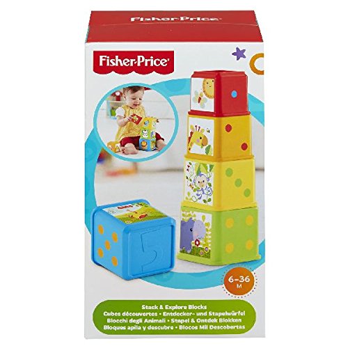 Fisher-Price CDC52 Stack and Explore Blocks