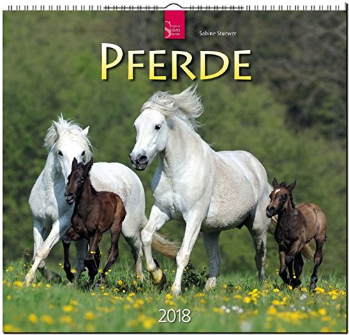 PFERDE: Original Stürtz-Kalender 2018 - Mittelformat-Kalender 33 x 31 cm