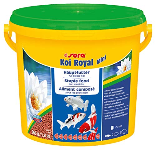 sera Koi Royal Mini (2 mm) es un alimento para el Desarrollo óptimo de Koi hasta 12 cm con prebióticos para un Mejor aprovechamiento de la alimentación, Menor Carga de Agua y Menos Algas.
