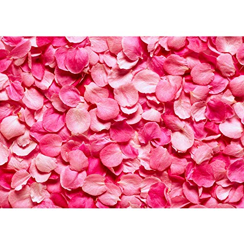 Liwwing FTVLPP-0188-350x245 - Vellón fotografía de fondo 350x245 cm - cima! premium plus fondo de pantalla! murales de papel tapiz mural foto mural de la pared del papel pintado de la pared de flores wanddeko amor flor xxl - sin 188º