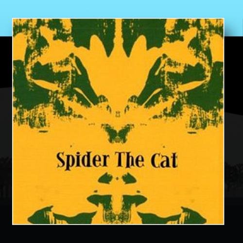 Preisvergleich Produktbild Spider the Cat