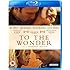 To The Wonder [Blu-ray] [2013]