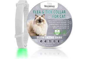 WOYAMAY Collier Anti Puces pour Chat Lumineux Imperméable - Antipuce Chat Efficace pour Protéger des Puces Et Tiques, Gris