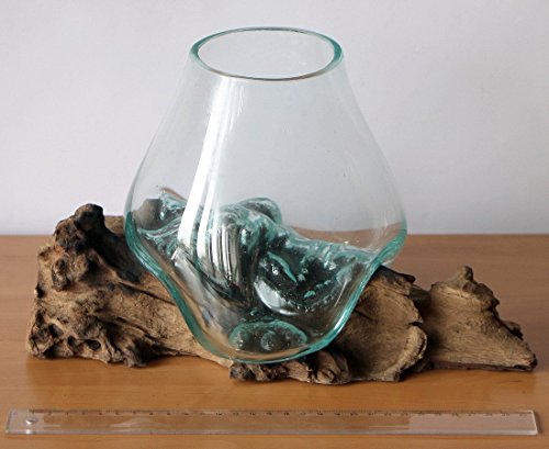 Geschenk Deko Gamal Wurzelholz Glasvase Ø Glas 15-16 cm Wurzel Holz Teakholz Vase Glas M - 2