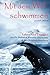 Mit Dem Wal Schwimmen: : Zeichen, Wunder und Heilungen: Lehren und Übungen von Dr. Stylianos Atteshlis (Daskalos) & den Wahrheitsforschern by Daniel Joseph