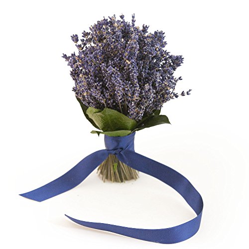 ROSEMARIE SCHULZ® Natürlicher Blumenstrauß Lavendelstrauß – Ø ca. 15cm - 2