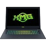 8 GB (1x8) RAM, 250 GB SSD XMG A707-gqs Advanced Gaming Laptop (17.3\