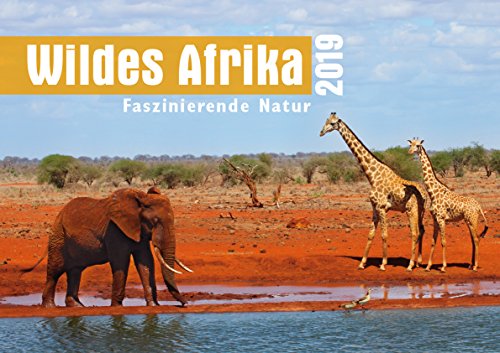 Preisvergleich Produktbild Wildes Afrika 2019: Faszinierende Natur