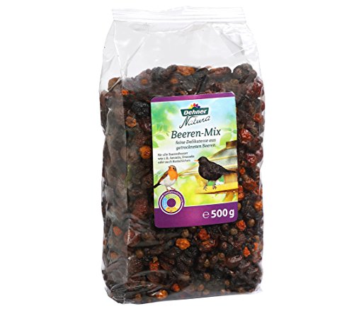 Dehner Natura Wildvogelfutter Beeren-Mix, 3 x 500 g (1500 g) - 2