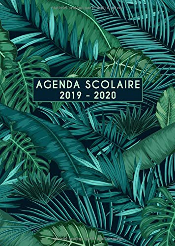 Télécharger Agenda scolaire 2019 2020: Timer, organisateurs, cahiers de devoirs et calendriers, août 2019 - ao Francais PDF
