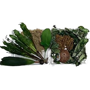 Namiba Terra 90005 Regenwald-Dekoset 