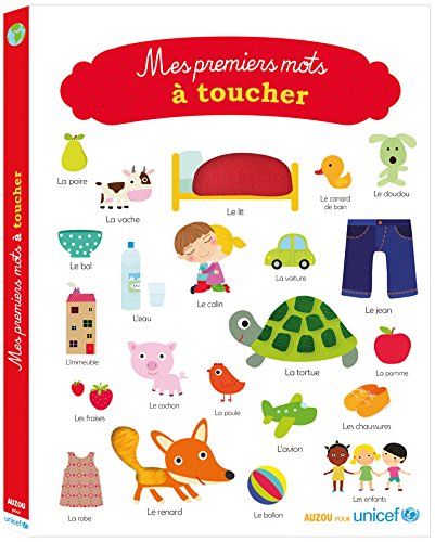 couverture de : Mes premiers mots &agrave; toucher