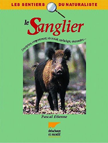 Le  sanglier