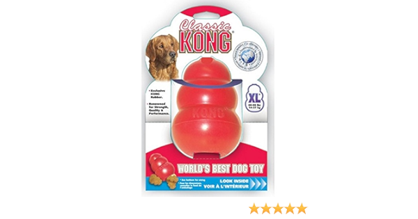 kong for dogs amazon