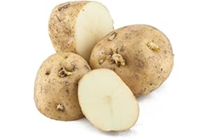 SECRETOS DE GALICIA Patata Kennebec 5kg.