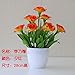 Produktbild WANG-shunlida Unechte Blumen Die grüne Pflanze Blumen innen Wohnzimmer Dekoration Dekoration Desktop Potted Flower Ornament, TK
