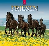 Friesen 2010 by 