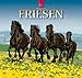 Friesen 2010 by 