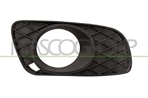 PRASCO GRIGLIA PARAURTI ANTERIORE DESTRO CON FENDINEBBIA SMART FORTWO 03 07>