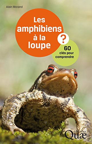 Les amphibiens à la loupe: 60 clés pour comprendre gratuit Les amphibiens à la loupe: 60 clés pour comprendre gratuit