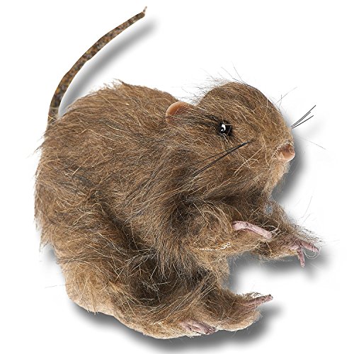 Prextex Realistic Mini Hairy Rats for Best Halloween Decoration