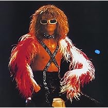 Michel Polnareff: Michel Polnareff: Amazon.fr: CD et Vinyles}