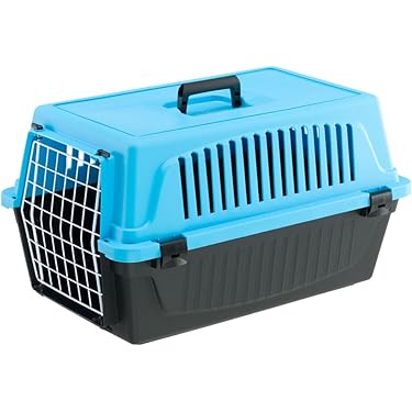 Transportbox