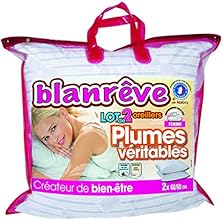 Blanr&ecirc;ve LOPLUHP006060 Lot de 2 Oreillers Plume Traditionnels 60 x 60 cm Blanc